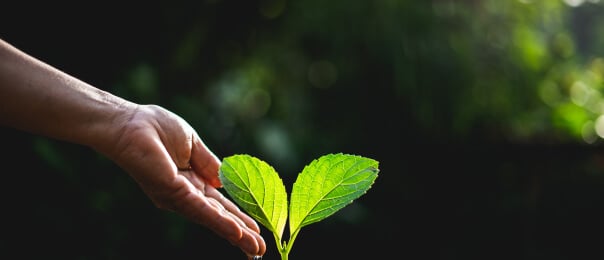Conheça nossos valores e cultura